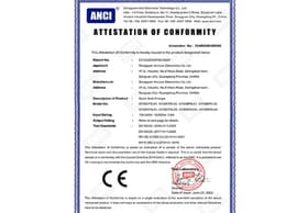 CE Certificate - Lirui Electronics Charger Certification