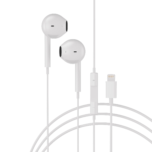 original earphone.jpg